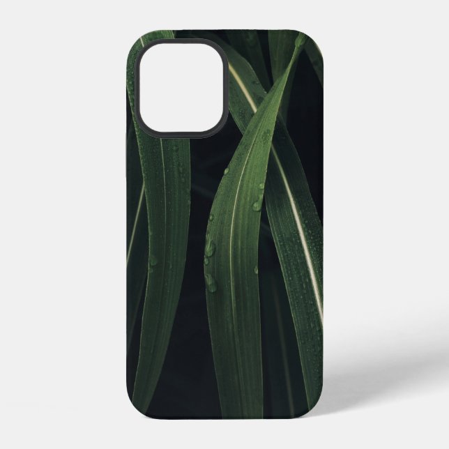 GREEN-LEAFED PLANT iPhone CASE (Back)