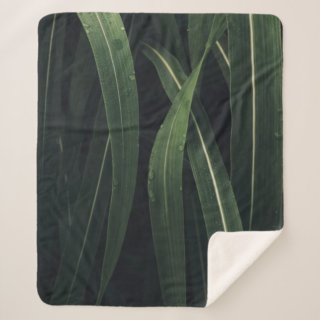 GREEN-LEAFED PLANT SHERPA BLANKET (Front)