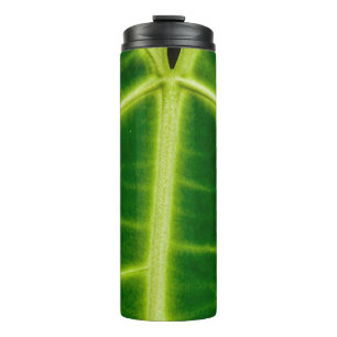 Green-leafed plant thermal tumbler