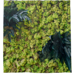 Green leafed plants