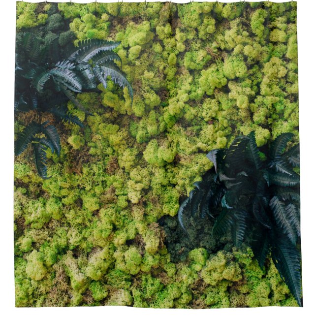Green leafed plants (Front)