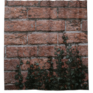 Green-leafed plants near brick wall