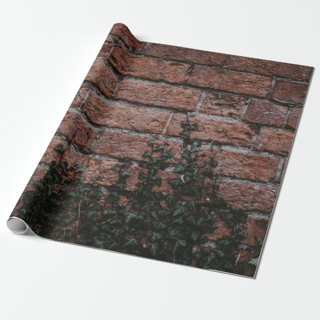 Green-leafed plants near brick wall wrapping paper (Unrolled)