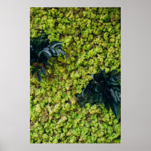 Green leafed plants poster