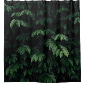 GREEN-LEAFED TREE