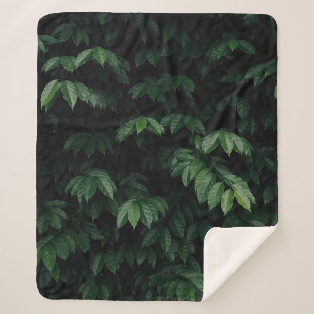 GREEN-LEAFED TREE SHERPA BLANKET (Front)