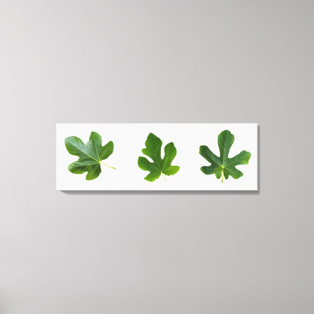 Green leafs closeup isolated on white background canvas print (Front)