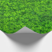 Green Leafy Clovers with Water Drops