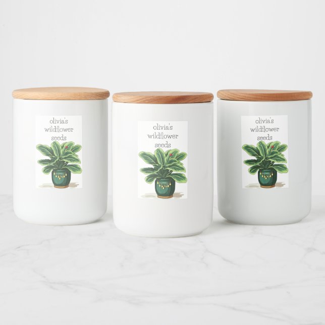 Green Leafy Plant in Green Pot with Ladybug Food Label (Bottles)