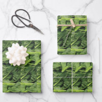 Green Leafy Vegetable