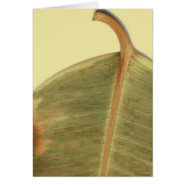 Green Leave Card (Front)