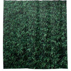 Green leaves