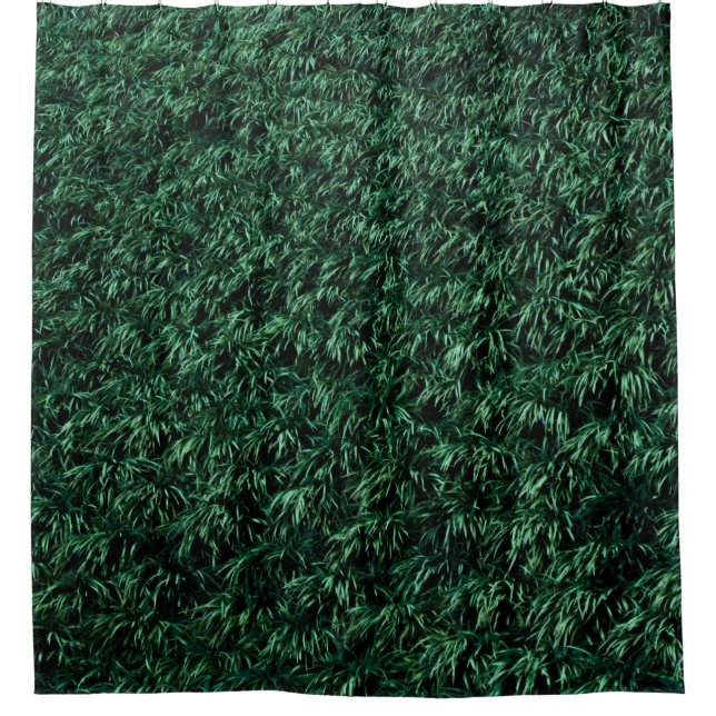Green leaves (Front)
