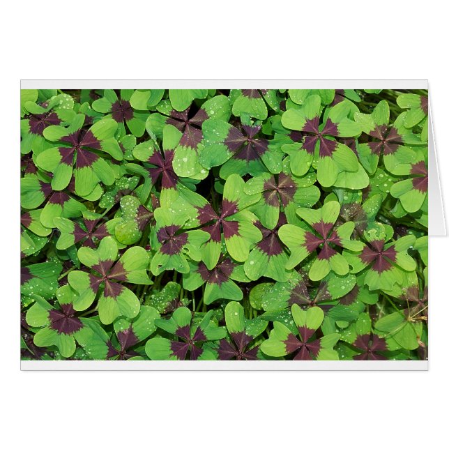 Green Leaves (Front Horizontal)