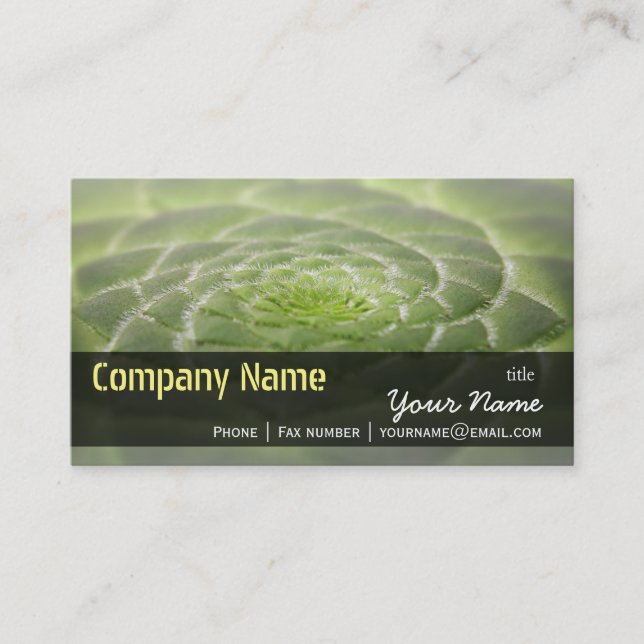 Green Leaves Aeonium Tabuliforme Business Template Card (Front)