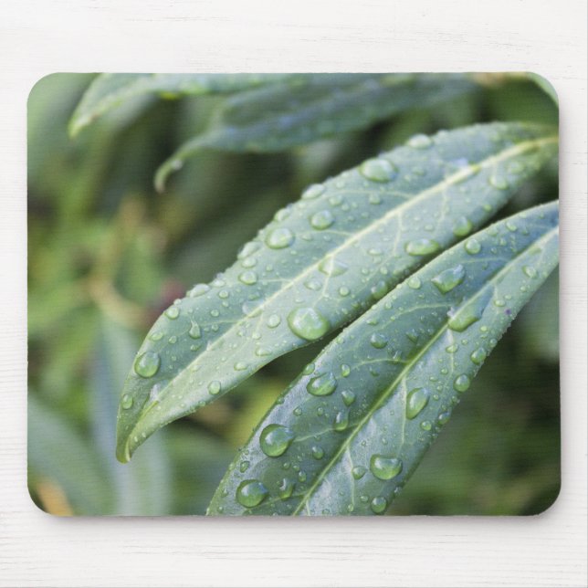 green leaves and rain drops mouse pad (Front)