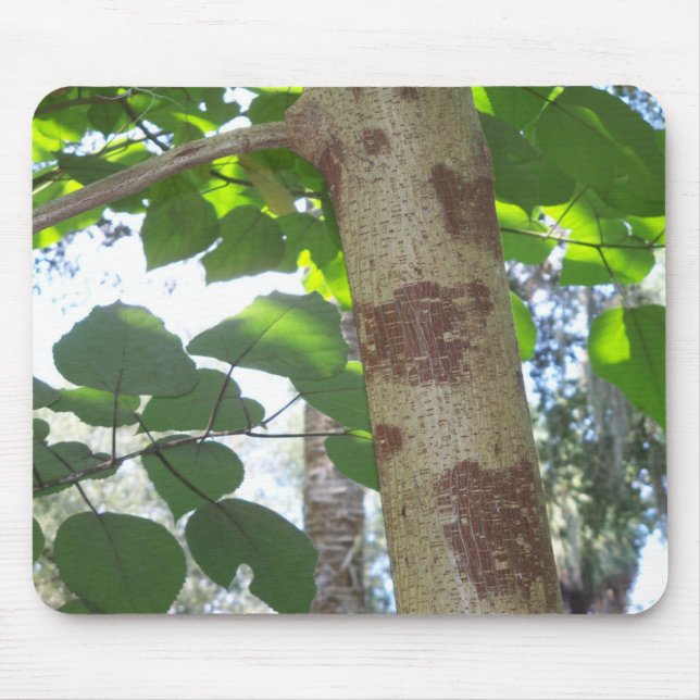 green leaves and tree trunk with cool bark mouse pad (Front)