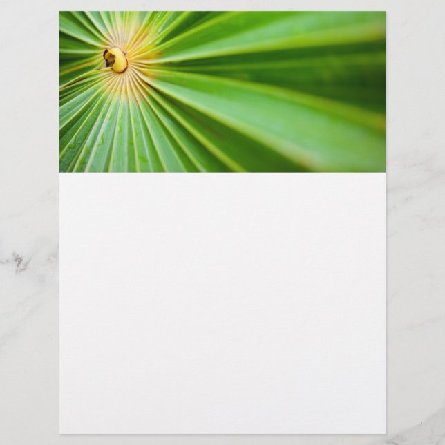 Green leaves background flyer (Front)