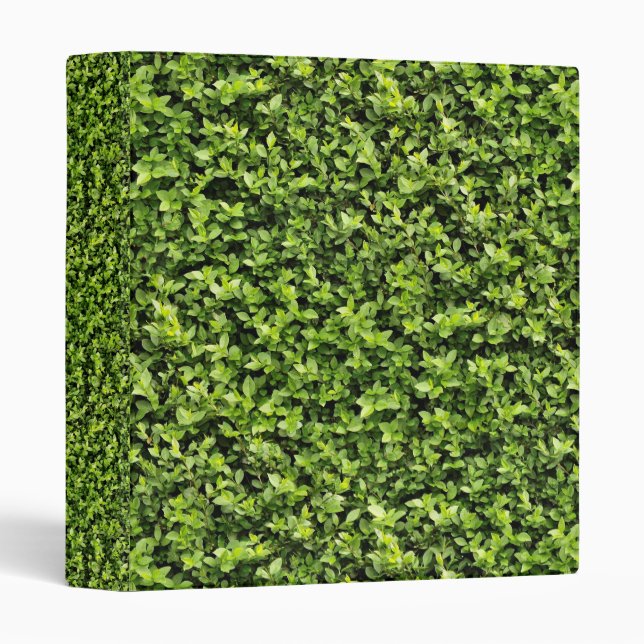 Green Leaves Binder (Front/Spine)