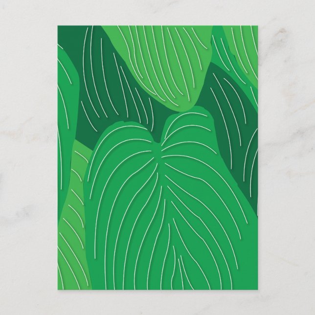 Green Leaves Botanical Postcard (Front)