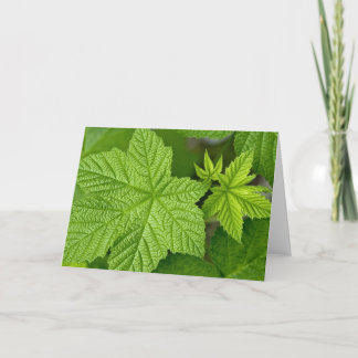 Green Leaves Card