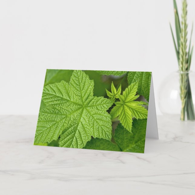 Green Leaves Card (Front)
