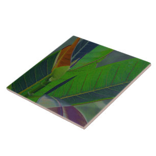 Green Leaves Close-Up Tile