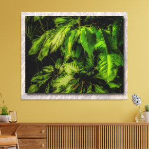 Green Leaves in Sunlight Stretched Canvas Print