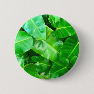 Green leaves Palm Leaf tropical foliage jungle 2 Inch Round Button