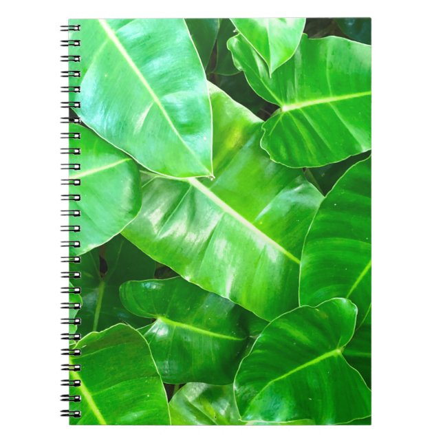 Green leaves Palm Leaf tropical foliage jungle  Notebook (Front)