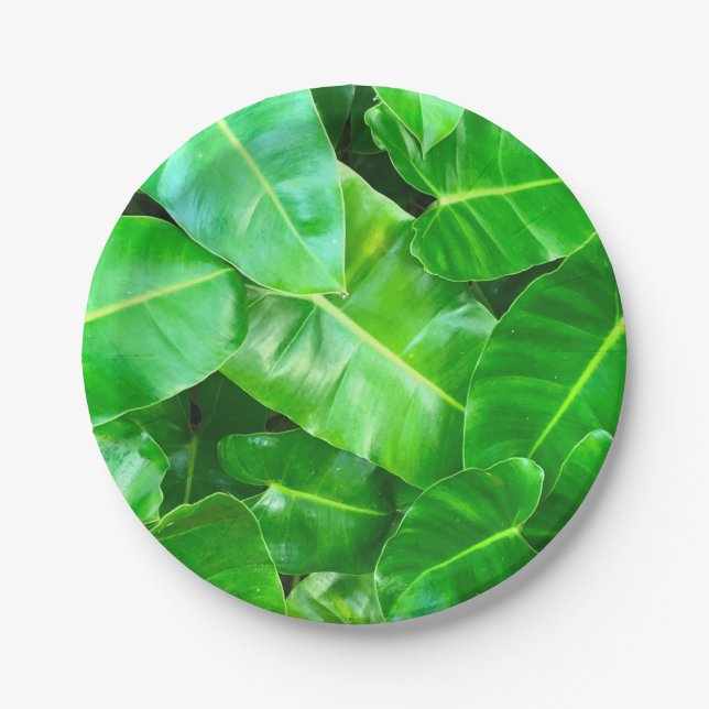 Green leaves Palm Leaf tropical foliage jungle  Paper Plate (Front)
