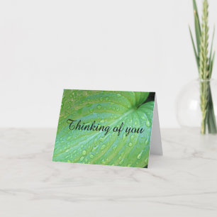 Green Leaves Photography Thinking Of You Card