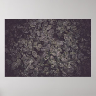 GREEN LEAVES POSTER