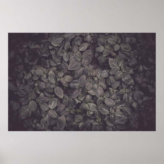 GREEN LEAVES POSTER (Front)