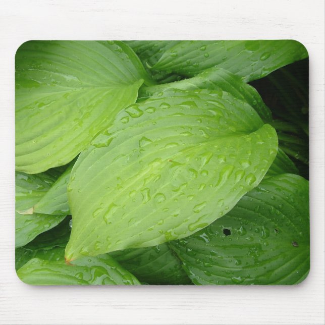 green leaves, rain drops mouse pad (Front)