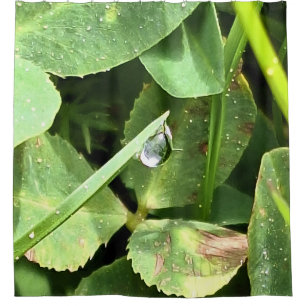 Green Leaves Romania - Botanical Foliage Wall Art