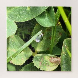 Green Leaves Romania - Botanical Foliage Wall Art Jigsaw Puzzle