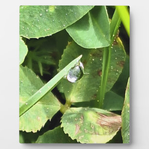 Green Leaves Romania - Botanical Foliage Wall Art Plaque