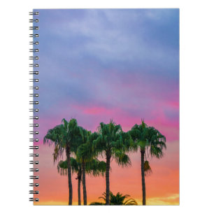 Green leaves tree under blue sky during golden hou notebook