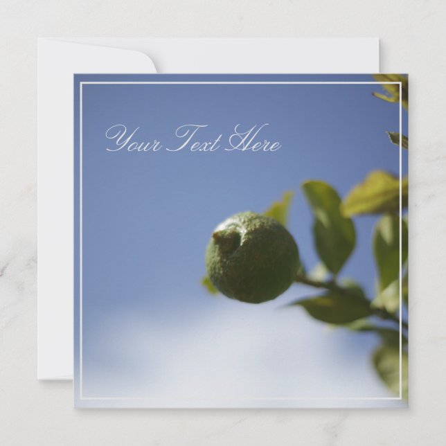 Green Lemon Lime Your Text Flat Card (Front)