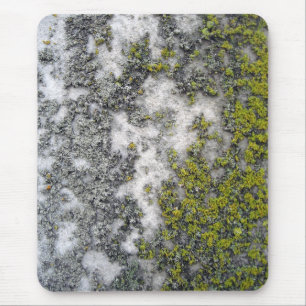 Green lichen on granite mouse pad