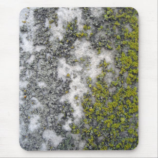 Green lichen on granite mouse pad