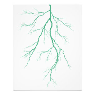 Green lightning photo print