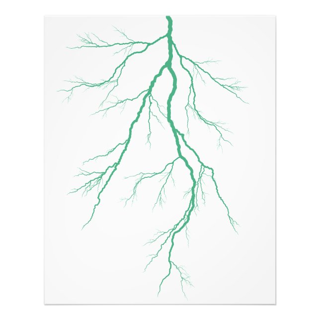 Green lightning photo print (Front)