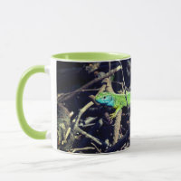 Green Lizard photo Mug