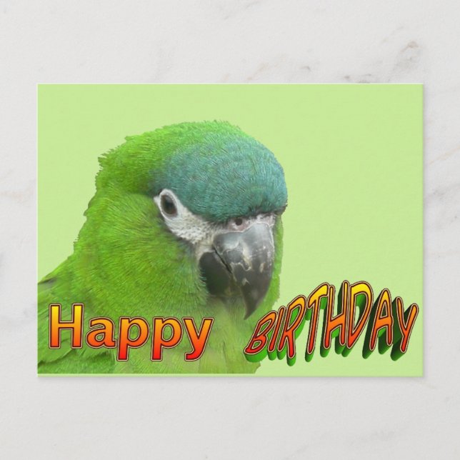 Green Lorikeet Happy Birthday Cust. Postcard (Front)