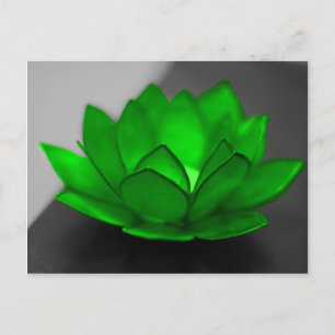 Green Lotus Postcard