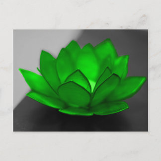 Green Lotus Postcard