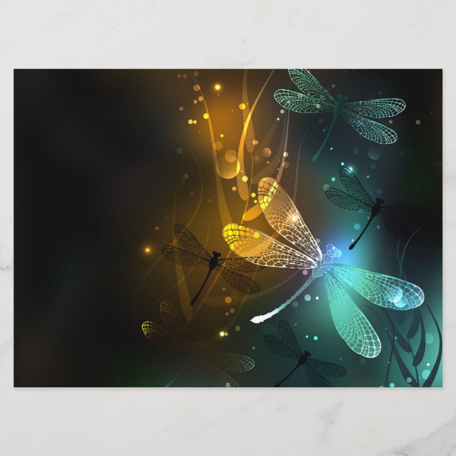 Green luminous dragonfly flight program (Front)