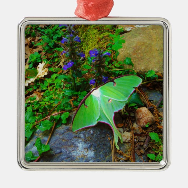 Green Luna moth Metal Ornament (Front)